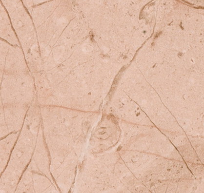 Image 01
