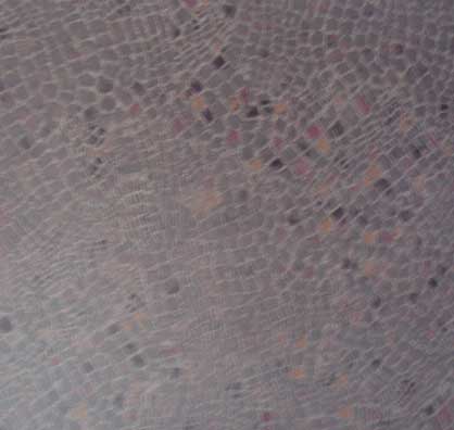 Image 01