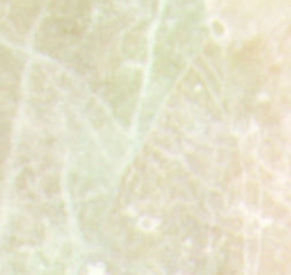 Image 01