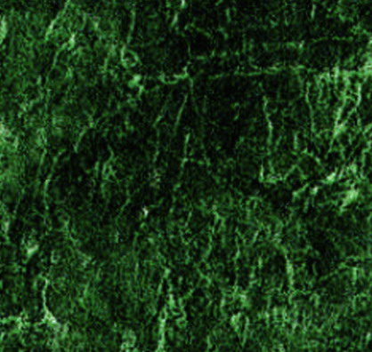 Image 01
